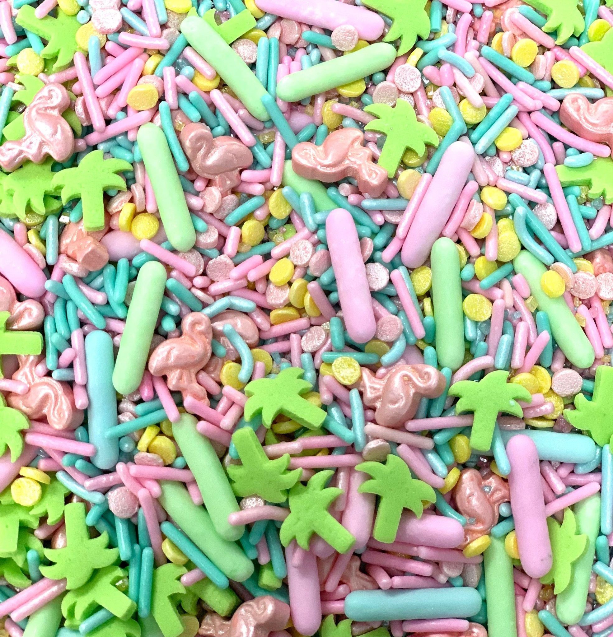 Rainbow Sprinkle Cake  Crush Magazine